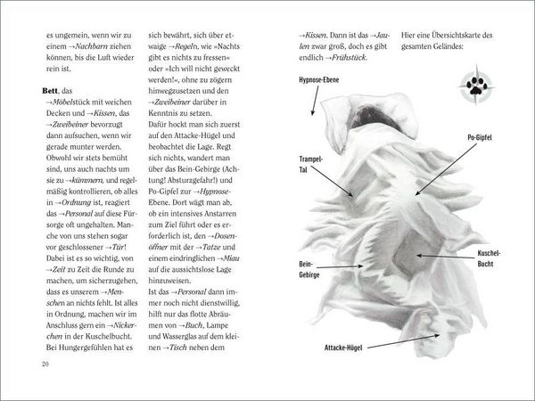 Produktbild: Wie wir Katzen die Welt sehen