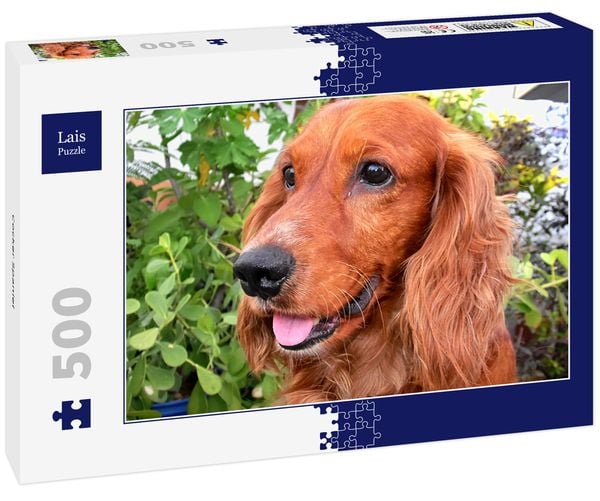 Lais Puzzle Cocker Spaniel 500 Teile