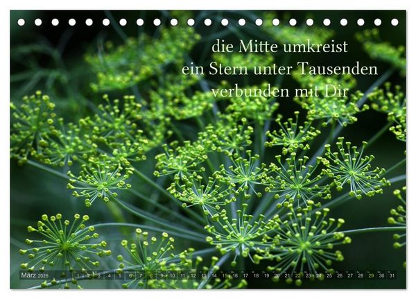 Produktbild: Haiku - Gedichte in 17 Silben (Tischkalender 2026 DIN A5 quer), CALVENDO Monatskalender