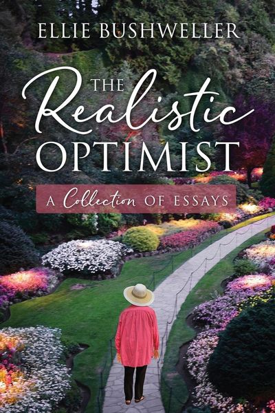 Produktbild: The Realistic Optimist