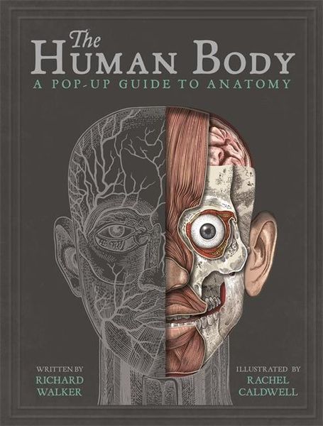 Produktbild: The Human Body