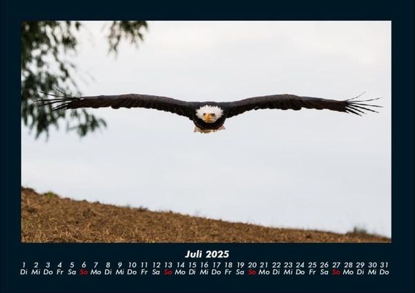 Produktbild: Adler 2025 Fotokalender DIN A4