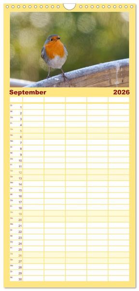 Produktbild: Familienplaner 2026 - Rotkehlchen - Fotografiert von Ostfriesenfotografie mit 5 Spalten (Wandkalender, 21 x 45 cm) CALVENDO
