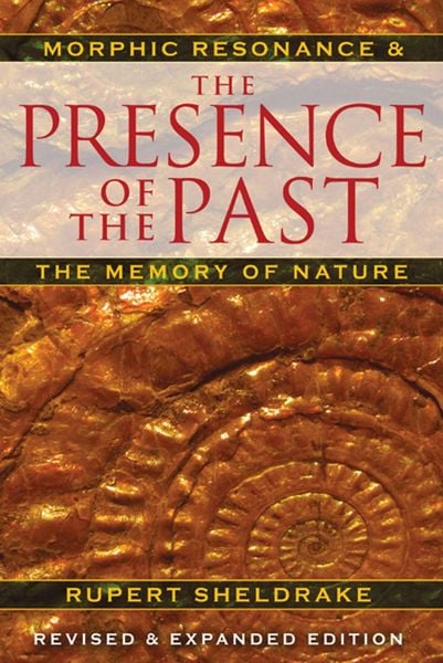Produktbild: The Presence of the Past
