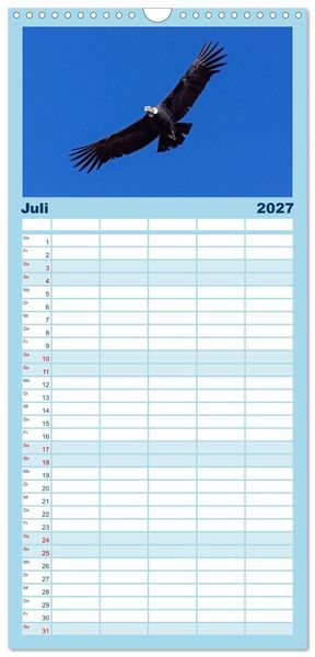 Produktbild: Familienplaner 2027 - V&ouml;gel im Flug - Akrobaten der L&uuml;fte mit 5 Spalten (Wandkalender, 21 x 45 cm) CALVENDO