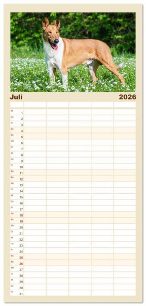Produktbild: Familienplaner 2026 - Ein Freund f&uuml;rs Leben - Smooth Collie mit 5 Spalten (Wandkalender, 21 x 45 cm) CALVENDO