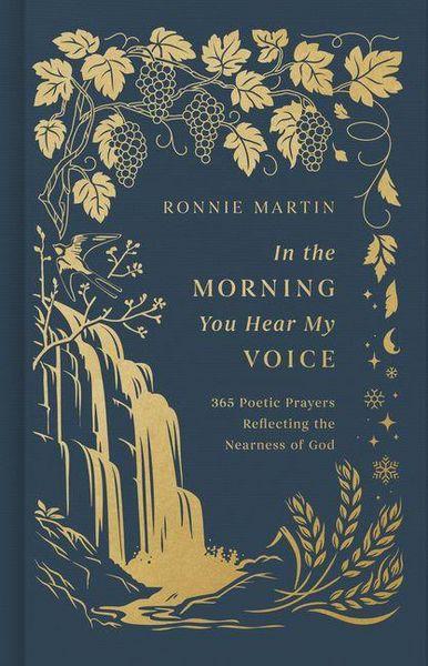Produktbild: In the Morning You Hear My Voice