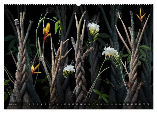 Produktbild: Musica fant&aacute;sia - Die wundersame Welt des Fotok&uuml;nstlers Olaf Bruhn (Wandkalender 2026 DIN A2 quer), CALVENDO Monatskalender