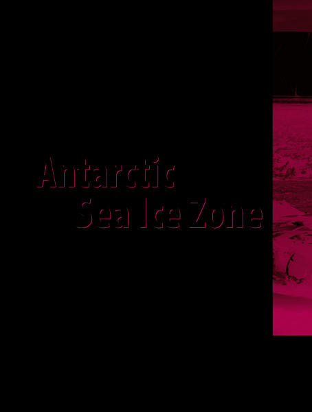 Produktbild: Ecological Studies in the Antarctic Sea Ice Zone