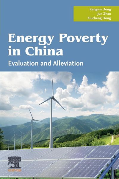 Produktbild: Energy Poverty in China
