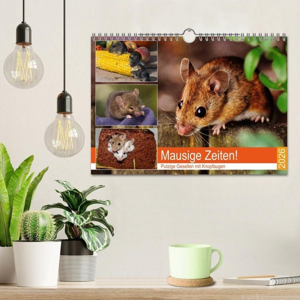 Produktbild: Mausige Zeiten! Putzige Gesellen mit Knopfaugen (Wandkalender 2026 DIN A4 quer), CALVENDO Monatskalender