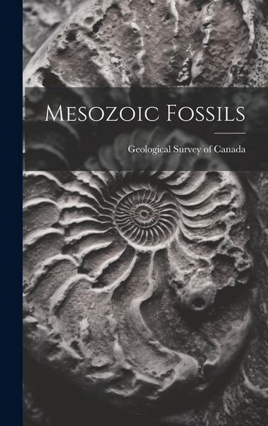 Produktbild: Mesozoic Fossils