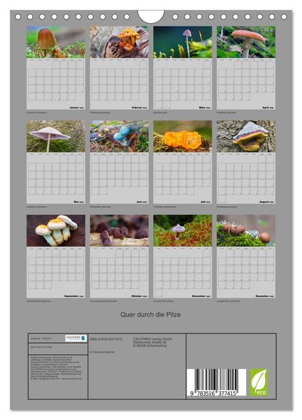 Produktbild: Quer durch die Pilze (Wandkalender 2026 DIN A4 hoch), CALVENDO Monatskalender