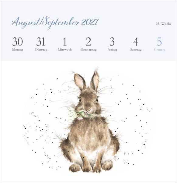 Produktbild: Hannah Dale: Happy Animals Premium-Postkartenkalender 2027