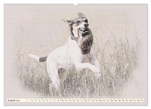 Produktbild: Bodeguero Andaluz 2026 (hochwertiger Premium Wandkalender 2026 DIN A2 quer), Kunstdruck in Hochglanz
