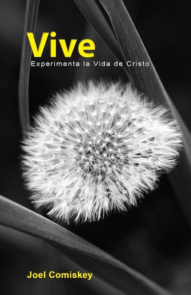 Produktbild: Vive