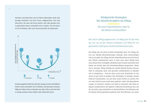 Produktbild: Die Strategie der Absichtslosigkeit