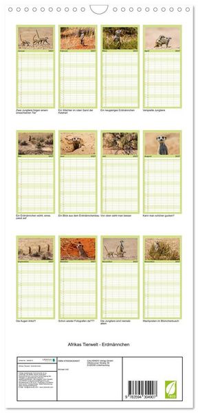Produktbild: Familienplaner 2027 - Afrikas Tierwelt - Erdm&auml;nnchen mit 5 Spalten (Wandkalender, 21 x 45 cm) CALVENDO