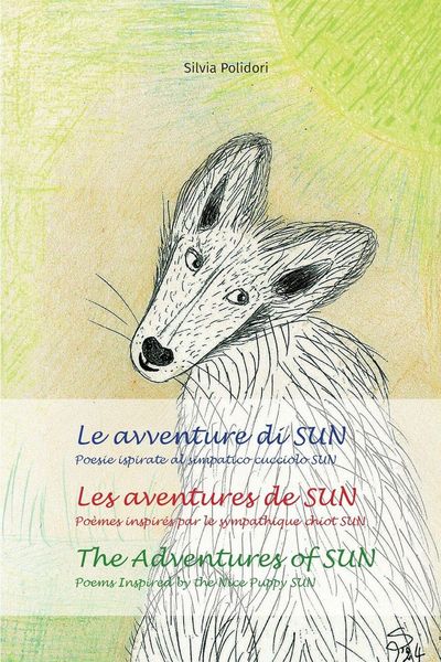 Produktbild: Le avventure di SUN - Les aventures de SUN - The Adventures of SUN