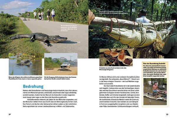 Produktbild: Entdecke die Krokodile