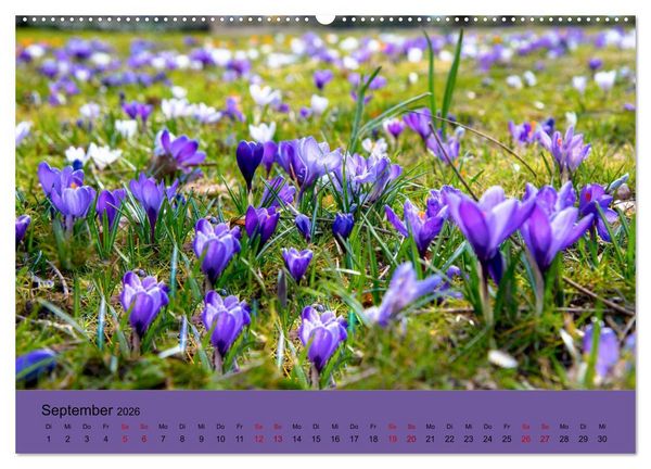 Produktbild: Kurpark Baden-Baden (Wandkalender 2026 DIN A2 quer), CALVENDO Monatskalender