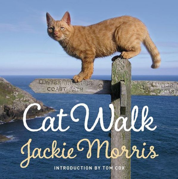 Produktbild: Cat Walk