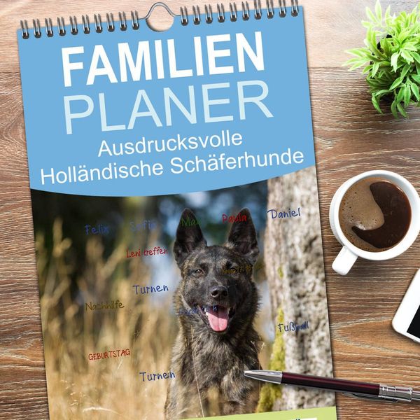 Produktbild: Familienplaner 2026 - ausdrucksvolle Holl&auml;ndische Sch&auml;ferhunde mit 5 Spalten (Wandkalender, 21 x 45 cm) CALVENDO
