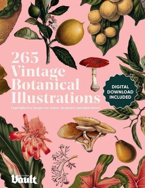 Produktbild: Vintage Botanical Illustration
