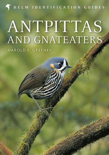 Produktbild: Antpittas and Gnateaters
