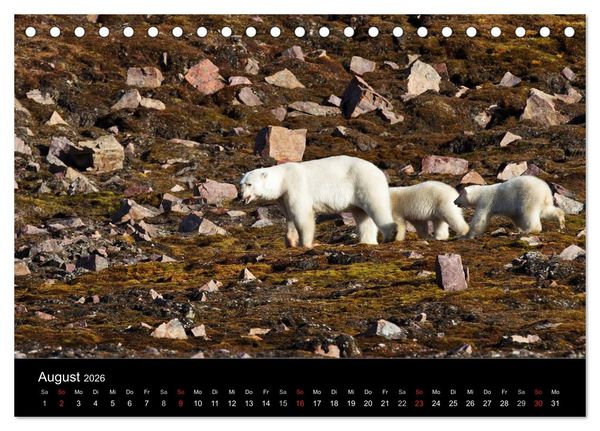 Produktbild: TRAUMZIEL ARKTIS, Impressionen vom Rand der Welt (Tischkalender 2026 DIN A5 quer), CALVENDO Monatskalender