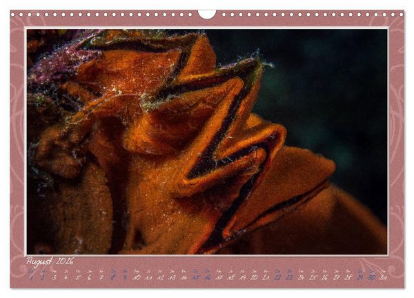 Produktbild: Unterwasser Kunstwerke (Wandkalender 2026 DIN A3 quer), CALVENDO Monatskalender