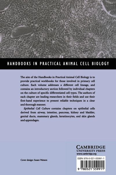 Produktbild: Epithelial Cell Culture