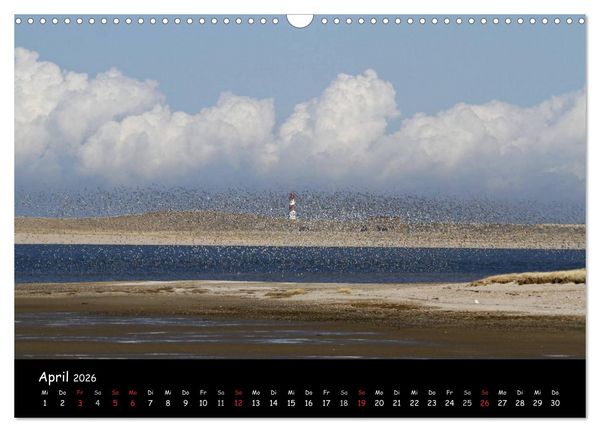 Produktbild: Sylt (Wandkalender 2026 DIN A3 quer), CALVENDO Monatskalender