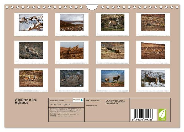 Produktbild: Wild Deer In The Highlands (Wall Calendar 2026 DIN A4 landscape), CALVENDO 12 Month Wall Calendar