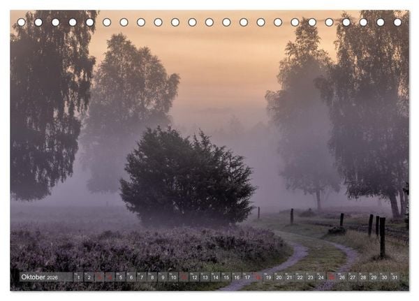 Produktbild: Die L&uuml;neburger Heide - In voller Bl&uuml;te (Tischkalender 2026 DIN A5 quer), CALVENDO Monatskalender