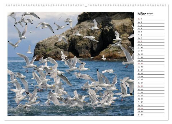 Produktbild: Alaskas Tierwelt - Paradies im Norden (Wandkalender 2026 DIN A2 quer), CALVENDO Monatskalender