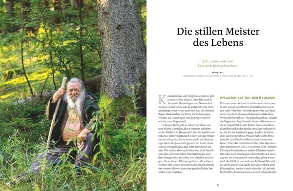 Produktbild: Meine Kr&auml;uter des Waldes