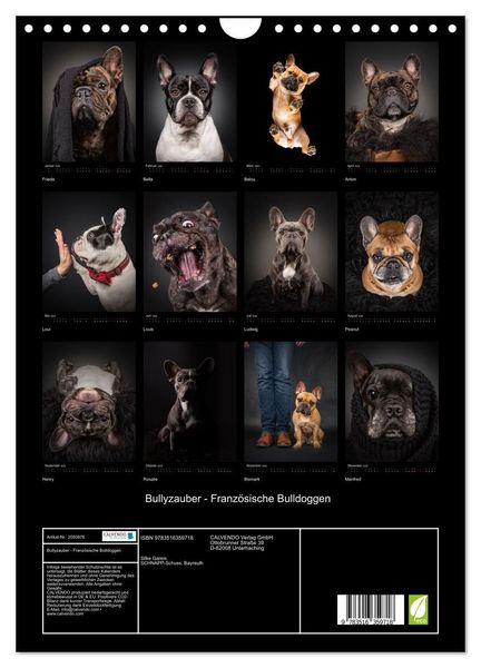 Produktbild: Bullyzauber - Franz&ouml;sische Bulldoggen (Wandkalender 2026 DIN A4 hoch), CALVENDO Monatskalender