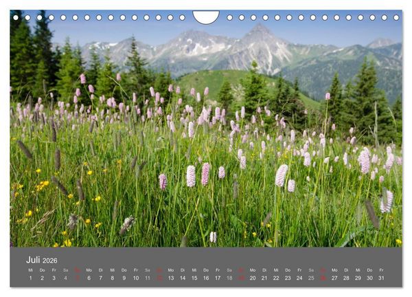 Produktbild: Tannheimer Tal (Wandkalender 2026 DIN A4 quer), CALVENDO Monatskalender