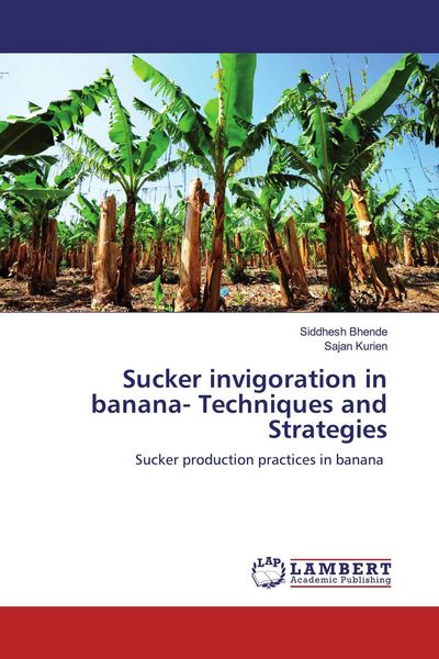 Produktbild: Sucker invigoration in banana- Techniques and Strategies