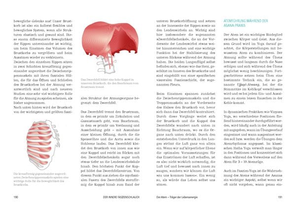 Produktbild: Das gro&szlig;e Faszien-Yoga Buch