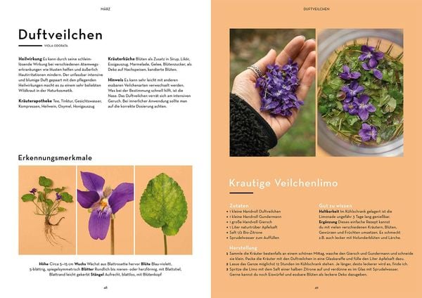 Produktbild: Wild durchs Jahr