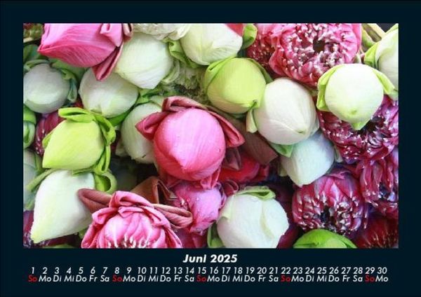 Produktbild: Blumenkalender 2025 Fotokalender DIN A5