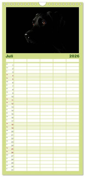 Produktbild: Familienplaner 2026 - Labrador Retriever mit 5 Spalten (Wandkalender, 21 x 45 cm) CALVENDO