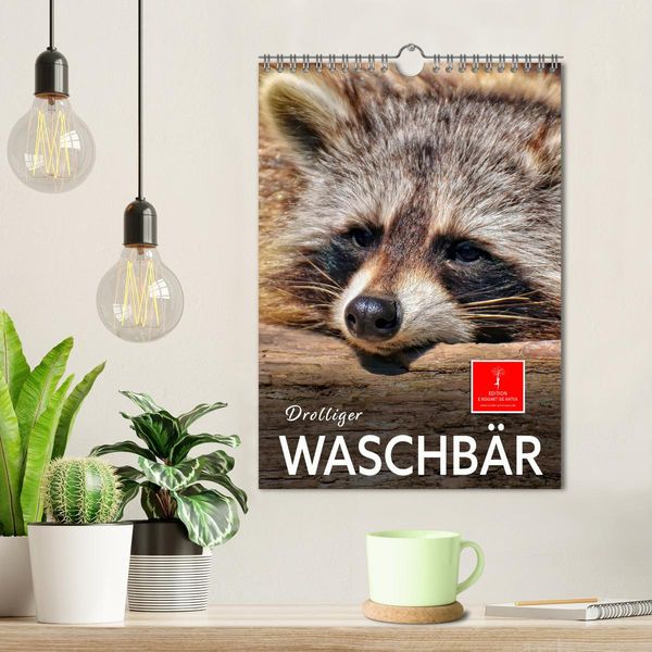 'Drolliger Waschbär (Wandkalender 2024 DIN A4 hoch), CALVENDO