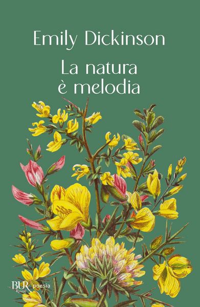 Produktbild: La natura &egrave; melodia