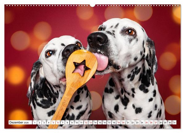Produktbild: Hunde im Naschparadies (hochwertiger Premium Wandkalender 2026 DIN A2 quer), Kunstdruck in Hochglanz