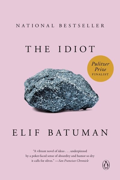 Produktbild: The Idiot
