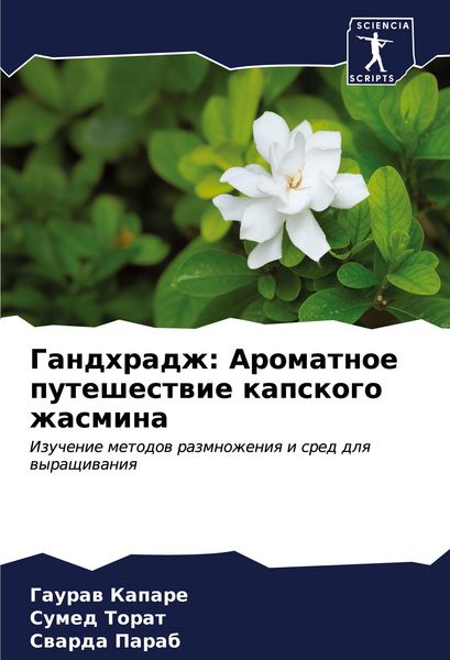 Produktbild: Gandhradzh: Aromatnoe puteshestwie kapskogo zhasmina