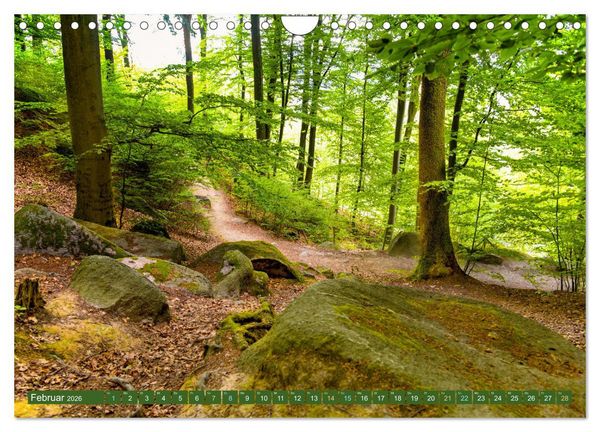 Produktbild: Das Felsenmeer - Natur pur im Odenwald (Wandkalender 2026 DIN A4 quer), CALVENDO Monatskalender